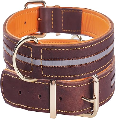 Photo Collier pour Chien en Cuir WowwCollars