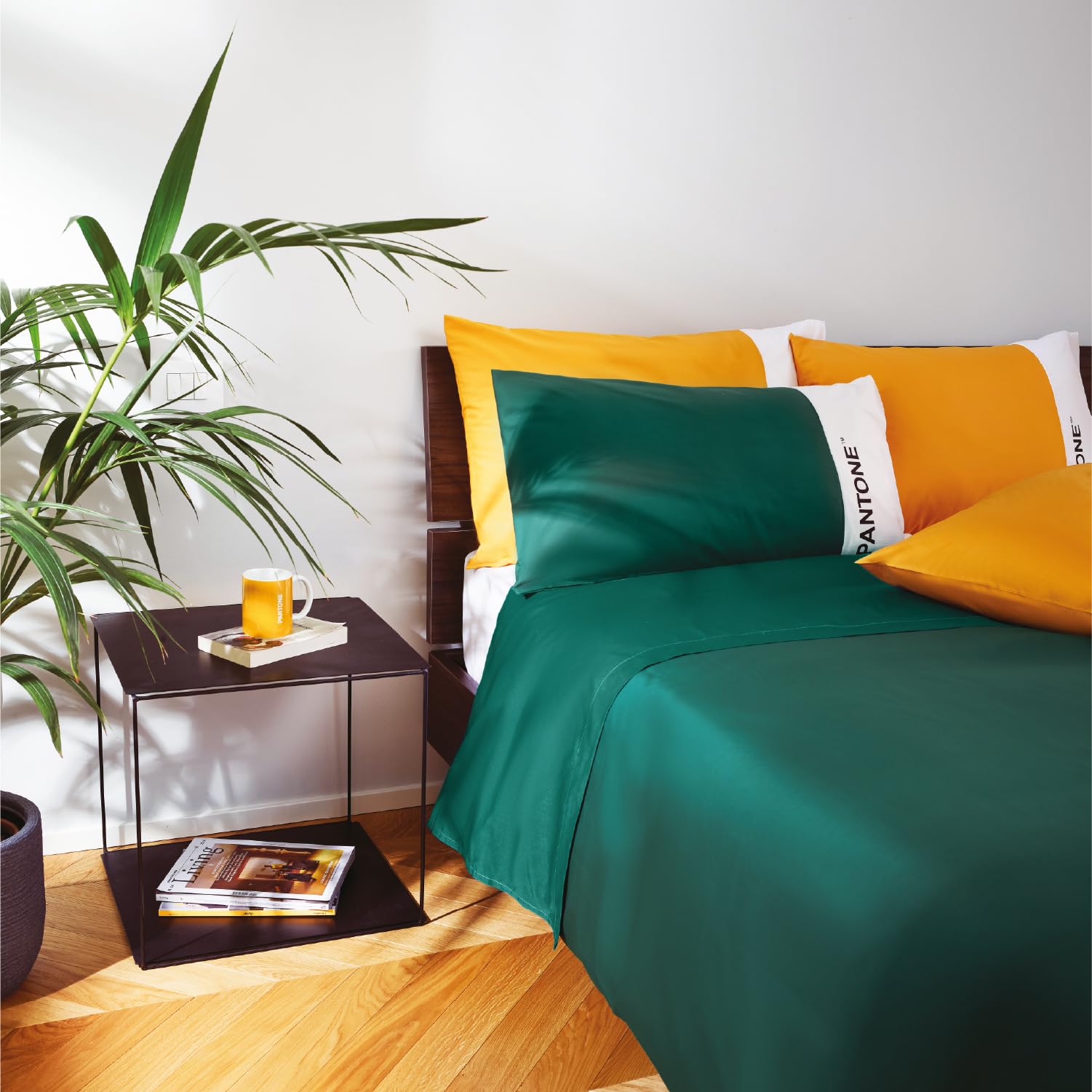 PANTONE - Completo Letto Set con Lenzuola Matrimoniali Cotone 240x280 + Lenzuolo Sotto con Angoli Matrimoniale Coprimaterasso 180x200 con Elastici per Materasso Fino 30cm + Federe Cuscino Letto 50x80