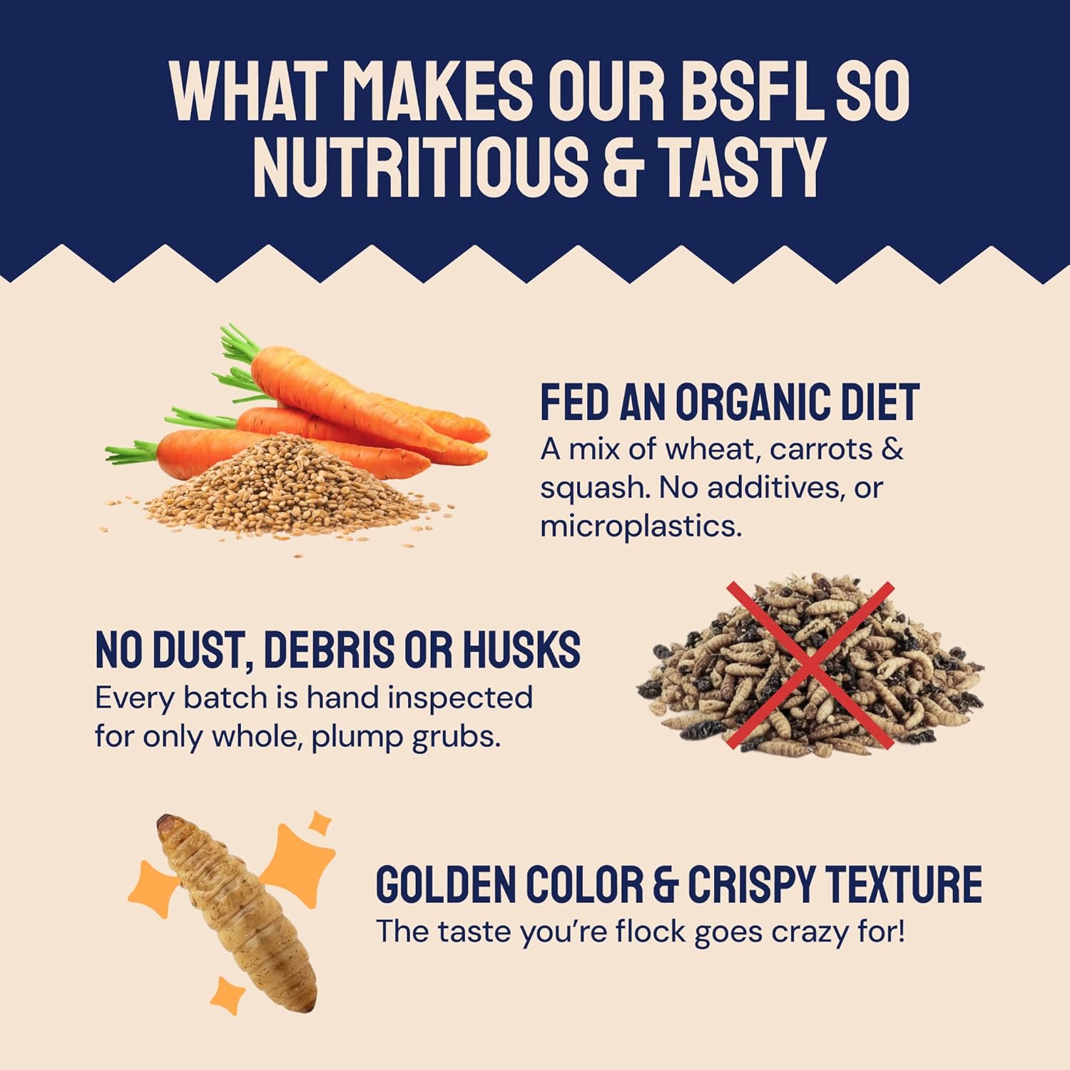 Hatortempt 10lb Dried Black Soldier Fly Larvae - More Calcium Than Mealworms for Chickens - High Protein Chicken Feed Treats for Laying Hens, Wild Birds and Duck Food thumbnail