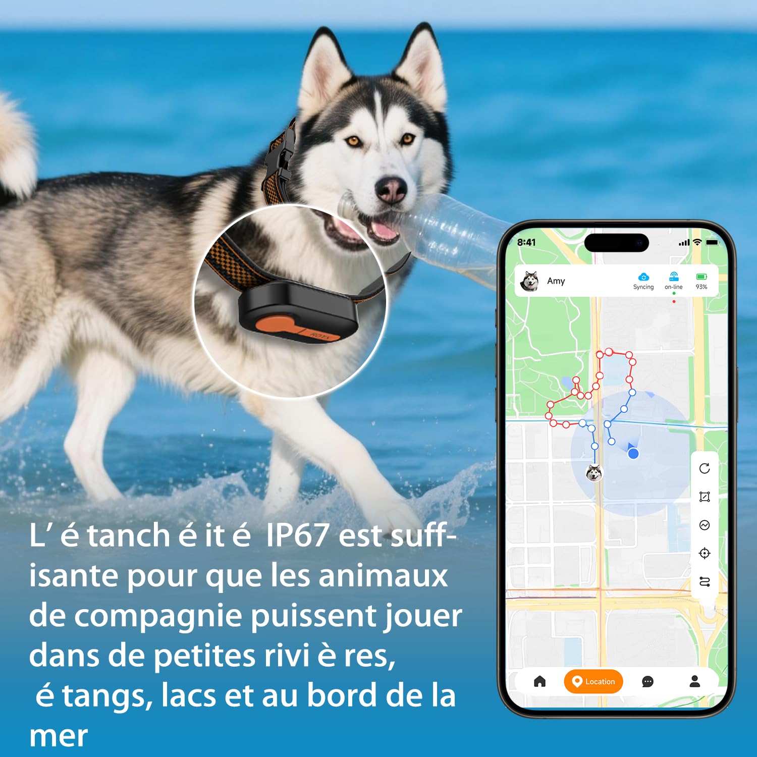 ROTX Rastreador GPS para perros, alerta en tiempo real, ubicación de valla virtual para mascotas de más de 11 libras, collar de perro y gato, accesorio de suscripción de color aleatorio, resistente al