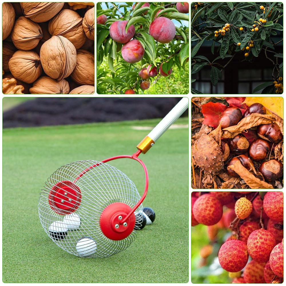 Recoge Nueces, Recogedor Nueces con Mango Telescópico, Recogedor de Frutos Secos, Recolector Aceitunas, Recogedor de Frutas para Bolas/Tuercas/Pecanas/Golf