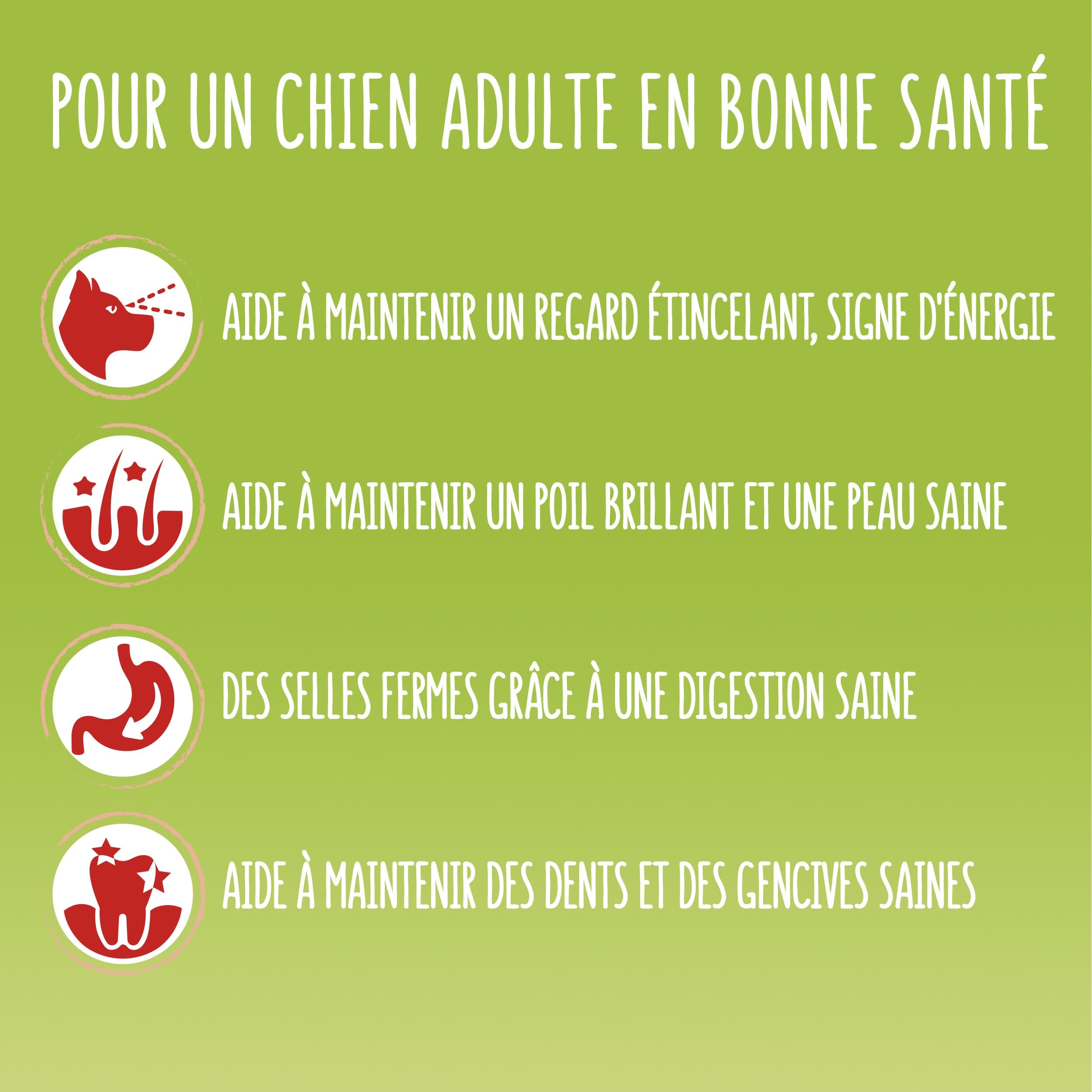 FRISKIES | Active | Chien | Croquettes pour Chiens Adultes | au Boeuf | Aide à Maintenir Un Niveau d'énergie élevé | Sac | 12 KG