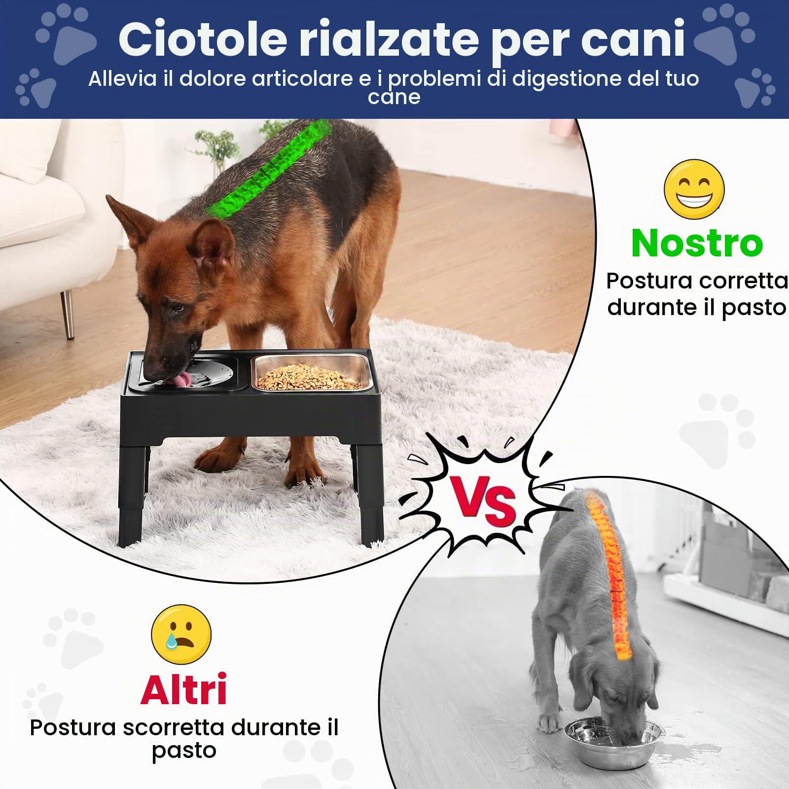PETTOM Ciotole per Cani Rialzate, Ciotola per Cani Regolabile in 4 Altezza, Ciotola Acqua Antigoccia e Acciaio Inox Set, 1,6L*2