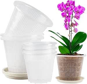 Vaso Per Orchidee Trasparente In Plastica, Fioriera Rettangolare, 1 Und - Foto 4
