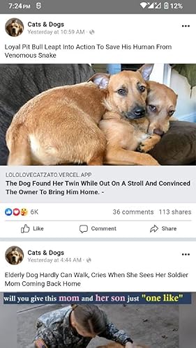 Social Messenger browser