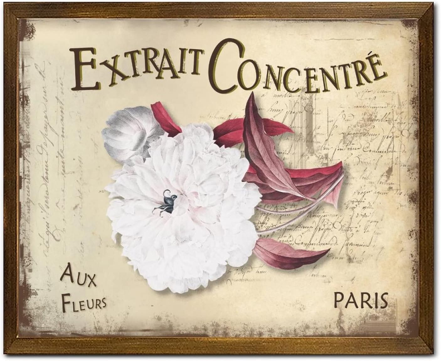 Extrait Concentré Aux Fleurs Wooden Framed Signs Vintage French Dahlia Flower Door Sign Farmhouse Blossom Floral Wood Home Wall Decoration for Home Living Room Office Entryway 16x20 Inch