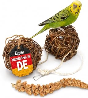Vogelgaleria® Kolbenhirse gefüllte Weidenkugel 2er Pack - handgefertigt in Deutschland - Erstaunlicher Spielspaß für glückliche und aktive Wellensittiche