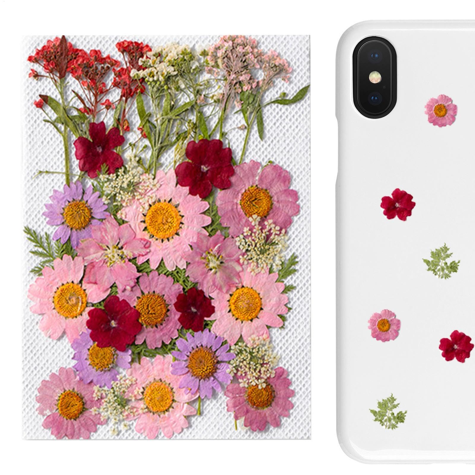 Amazon | 天然ドライフラワー 押し花 花材セット 35枚 プリザーブド 
