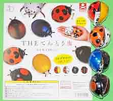ひらだてんとう虫ページ ナナホシテントウ - Wikipedia