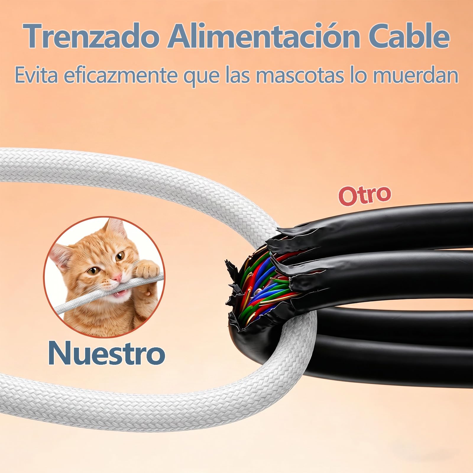 Comedero Gato Automatico con Cámara, 6L Dispensador WiFi 5G/2.4G | Visión Nocturna Color y Movimiento Detección, Comedero Inoxidable, Programación 10 Comidas, Voz Grabación, Batería Repuesto