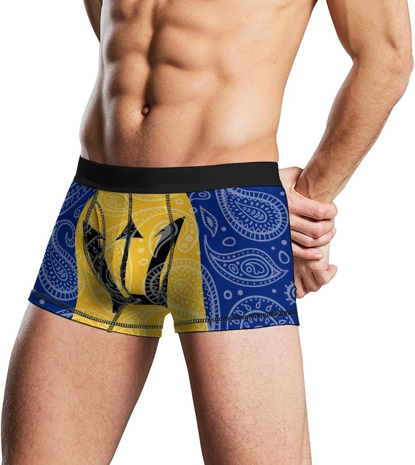 Paisley And Barbados Flag Paisley Pattern Novelty Men's Trunks Soft Breathable Underwear Patterned Stretch Briefs