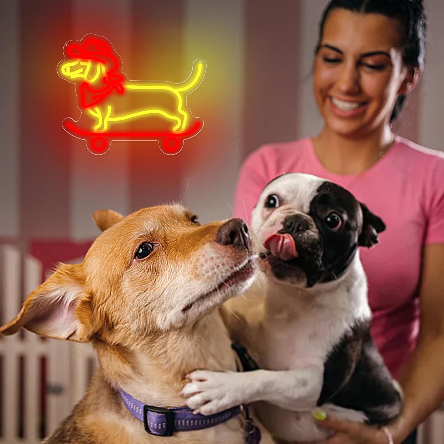 Skateboard Dachshund Neon Sign for Wall Decor Dimmable Dachshund Neon Light for Man Cave LED Animal Cowboy Dog Light Up Sign for Bedroom Office Party Christmas Birthday Gifts Size13.8 * 11.4(WZCP055) - Image 5