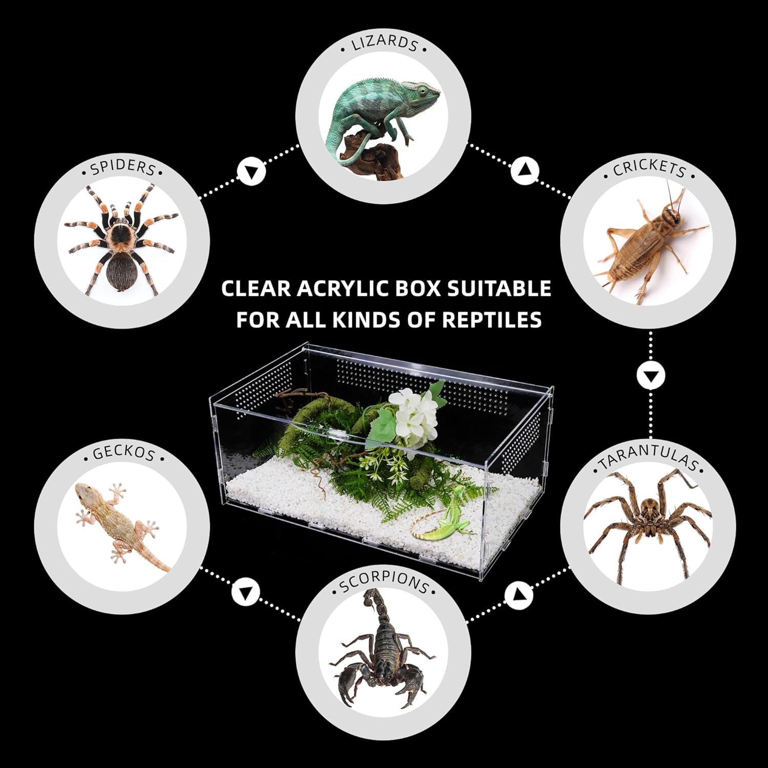 Reptile Terrarium, Tarantula Enclosure, 14x8x6 Inch Reptile Tank Habitat Clear Terrariums with Locking Latch Suitable for Tarantula,Tree Dwelling Reptiles Hermit Crab