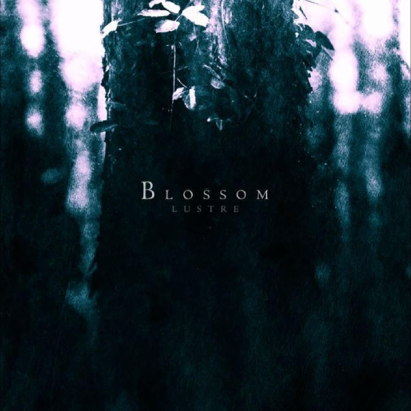 Blossom