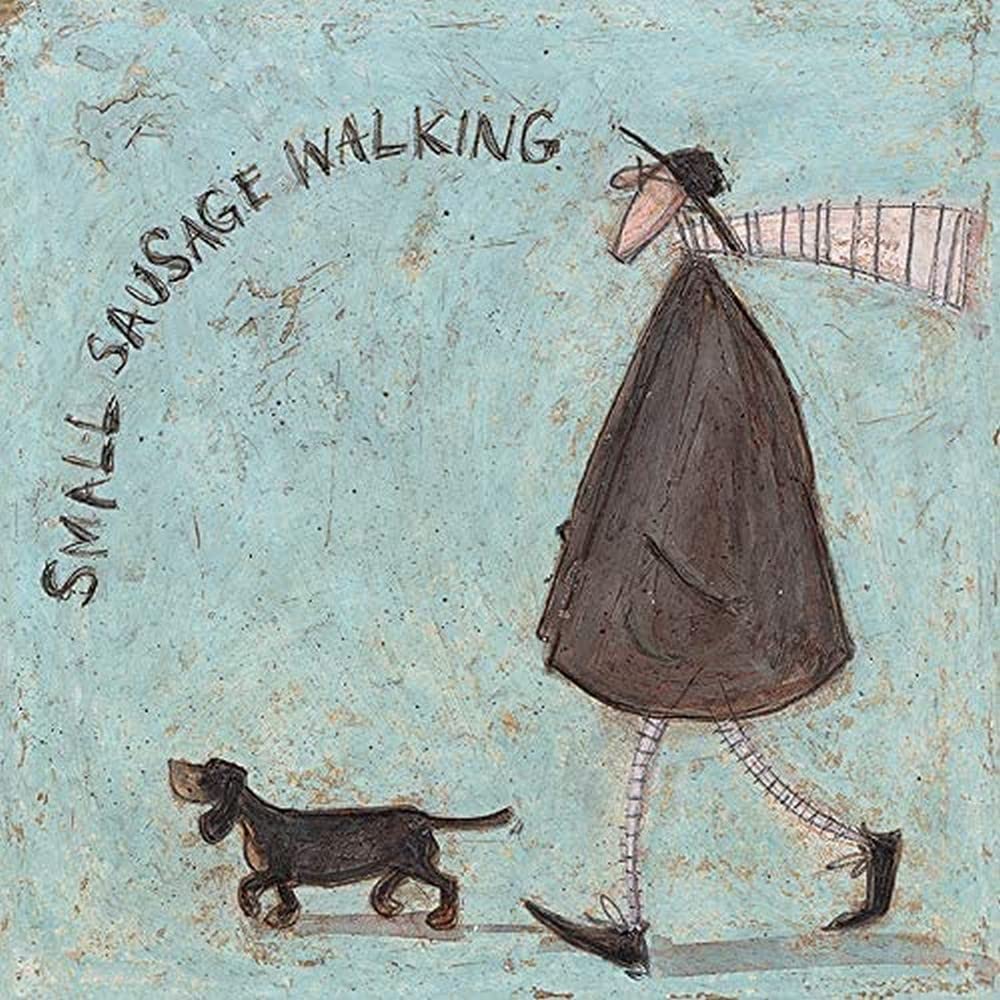 Sam Toft WDC91665 (Small Sausage Walking 30 x 30cm Canvas : Amazon