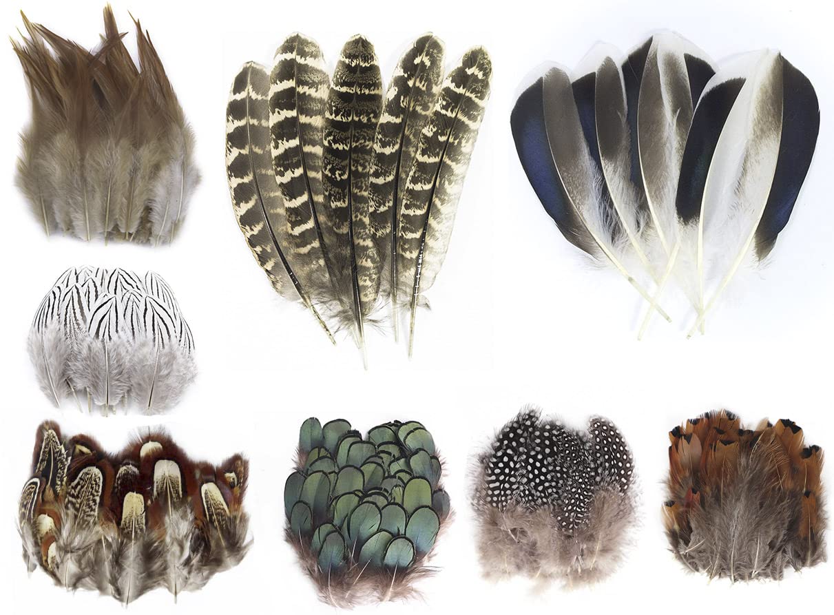 MAHAVIMOKSA 200pcs Mixed 8 Styles Natural Feather for DIY Craft Earring Wings Wedding Party Home Decoration