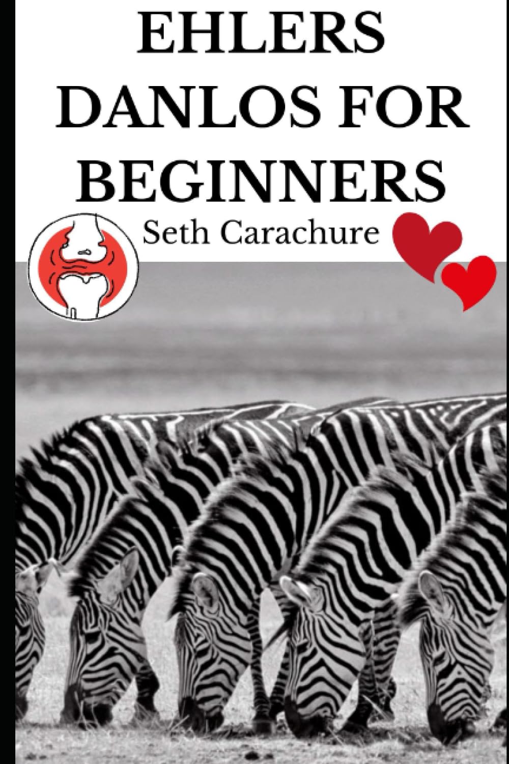 Ehler's Danlos for Beginners