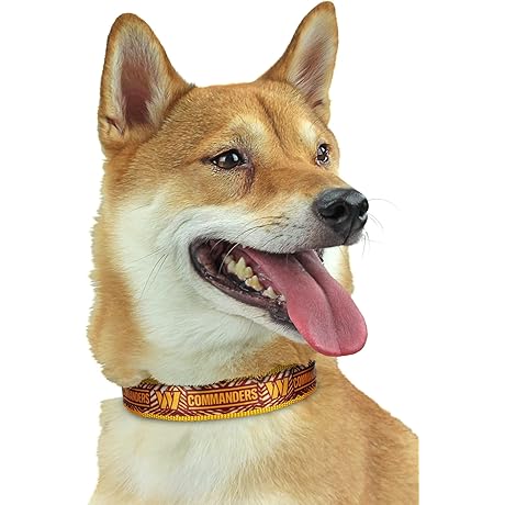 Official Washington Commanders Fan Pet Dog & Cat Collar, Medium