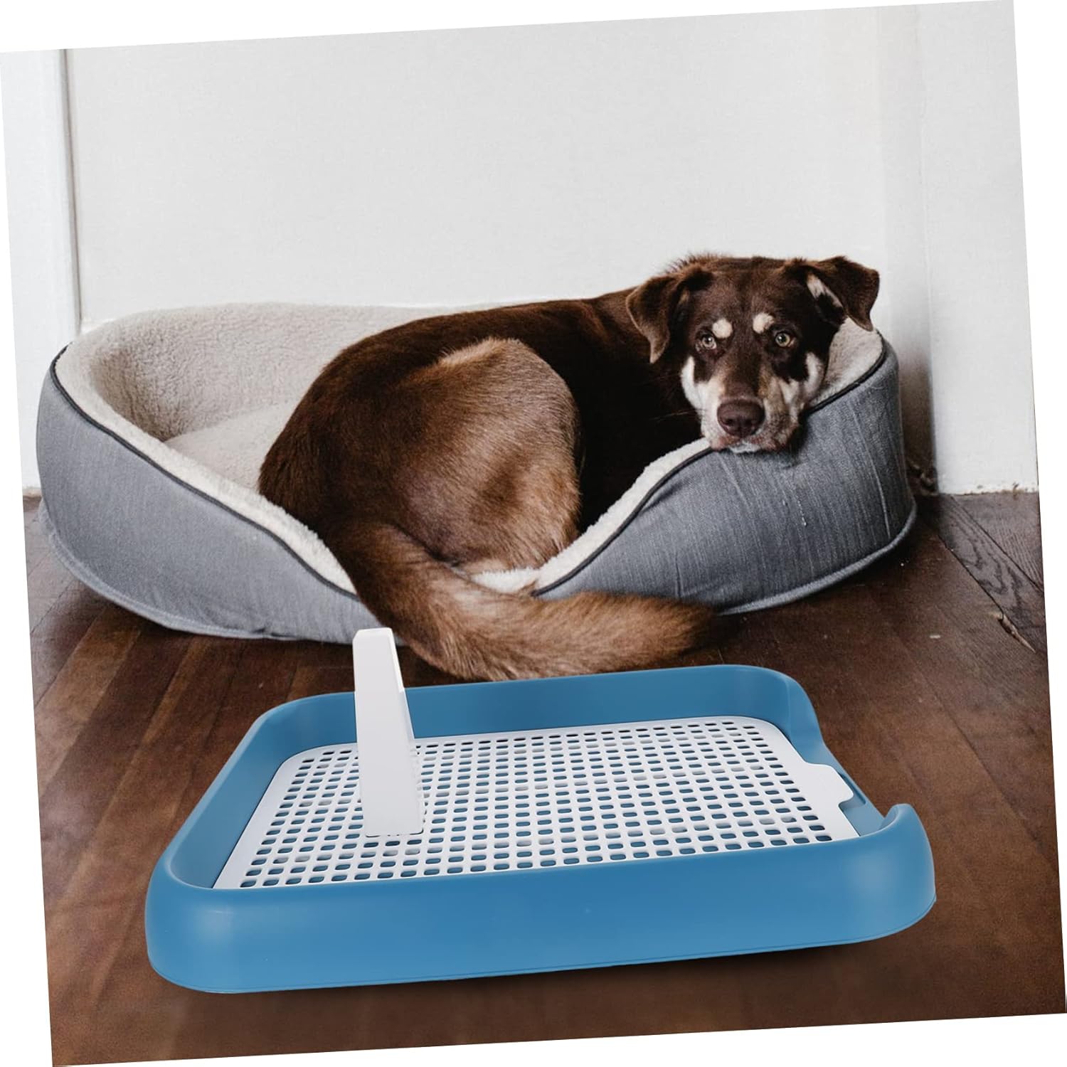 Mesh Dog Toilet with Leak Edges and Durable PP Plastic Design Puppy Potty Training Tray for Indoor Use Easy to Clean Portable Pet Toilet for Small and Large Dogs Blue