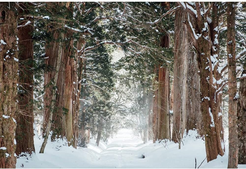 Forest Backdrop,Yeele 10x8ft Winter Theme Snow Nature Landscape Vinyl Photography Background Snow Covered Road Background for Photo Props Holiday Supplies Wallpaper