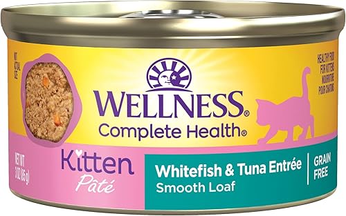 Wellness Complete Health Alimento enlatado húmedo para gatos, sin granos, ingredientes naturales, hecho con carne real, para todas las razas, paté