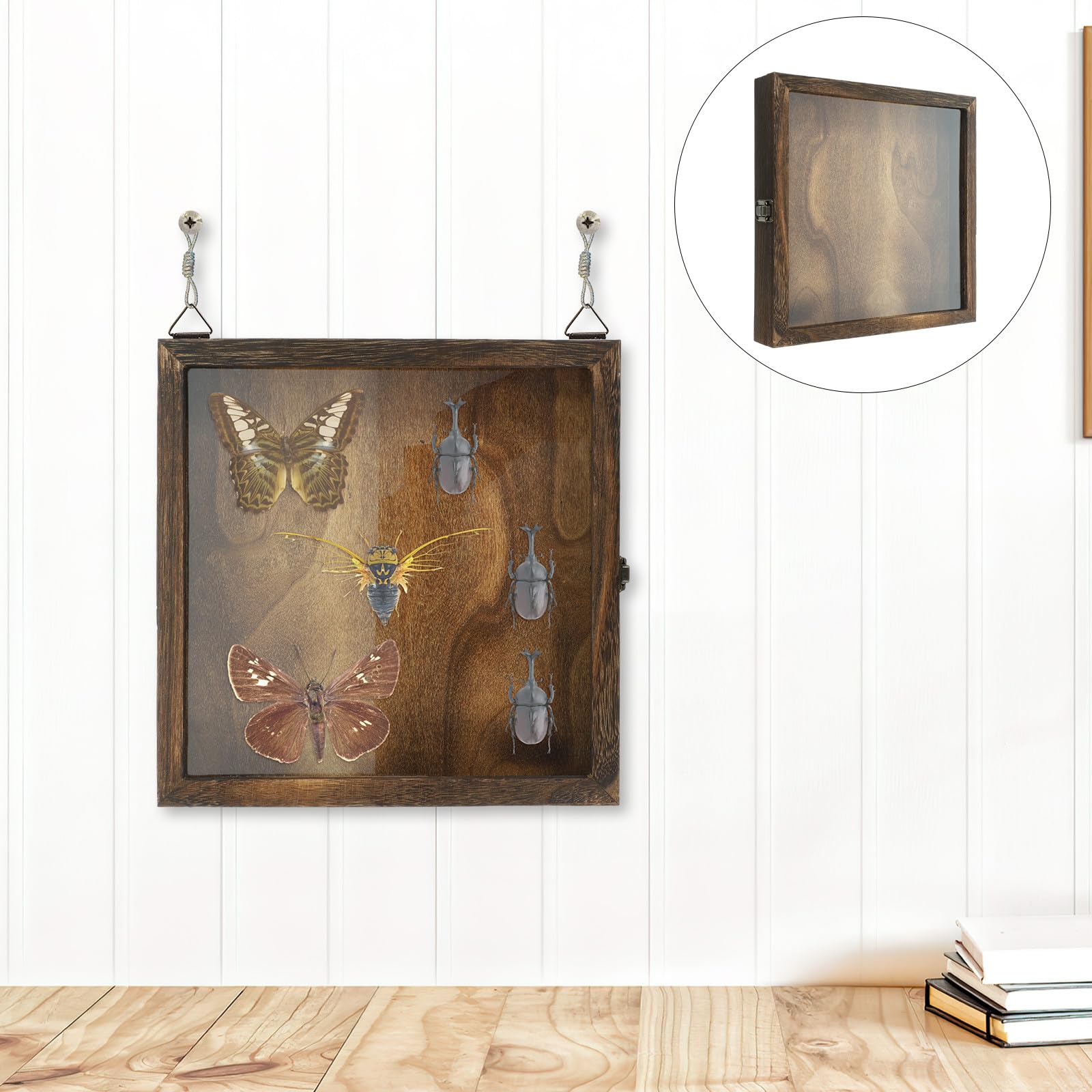 Gatuida Caja de Exhibición de Insectos de Madera Acrílica Portátil Estilo Retro y Tapa Plegable para Colgar en Pared y Almacenar Objetos Estilo