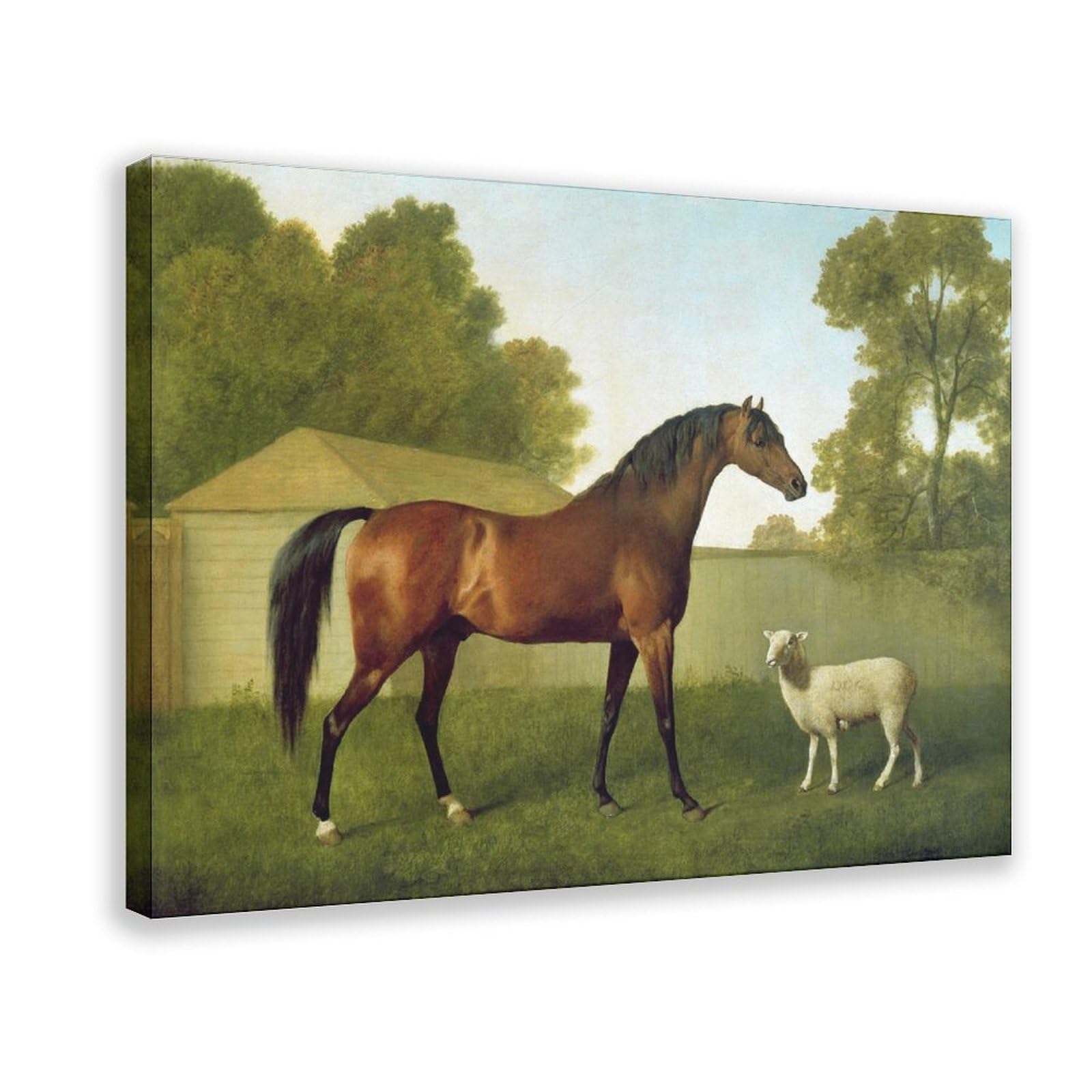 DFJyjFGJJ George Stubbs,Dungannon, The Property Of Colonel Okelly, Painted In A Paddock With A Sheep Canvas Poster And Wall Art Picture Print Modern Family Bedroom Decor 20" L X 30" W