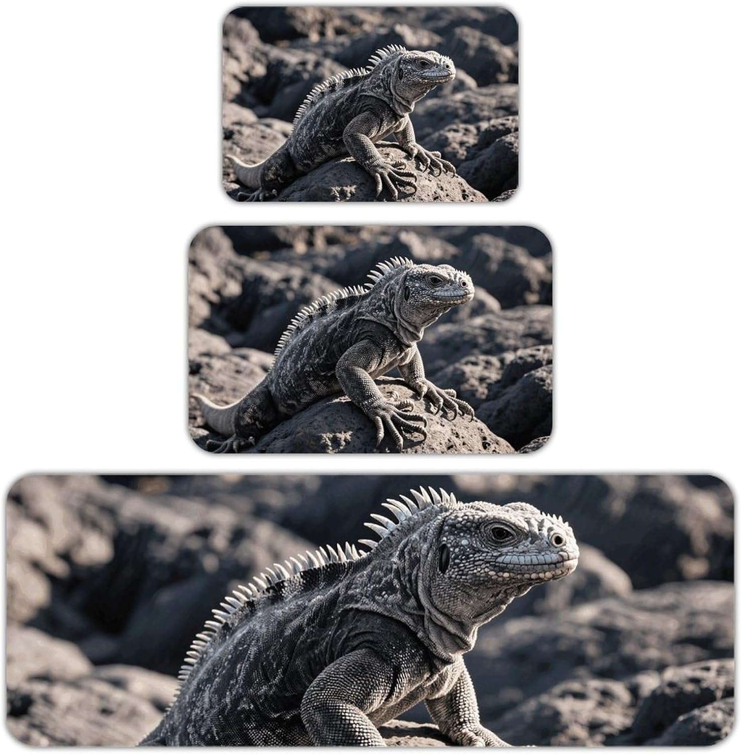MarineIguana Kitchen Mats for Floor 3 Pcs Kitchen Rugs
