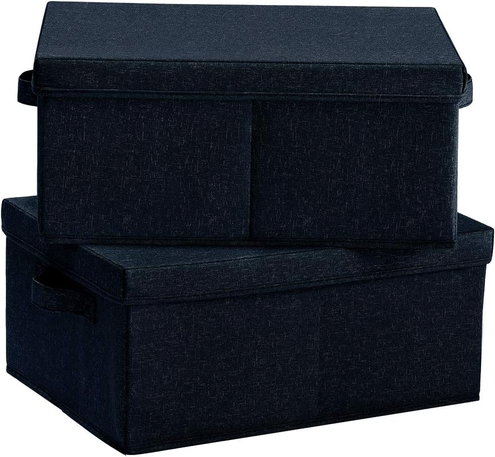 HOONEX Storage Bins with Lid, 2 Pack, Black