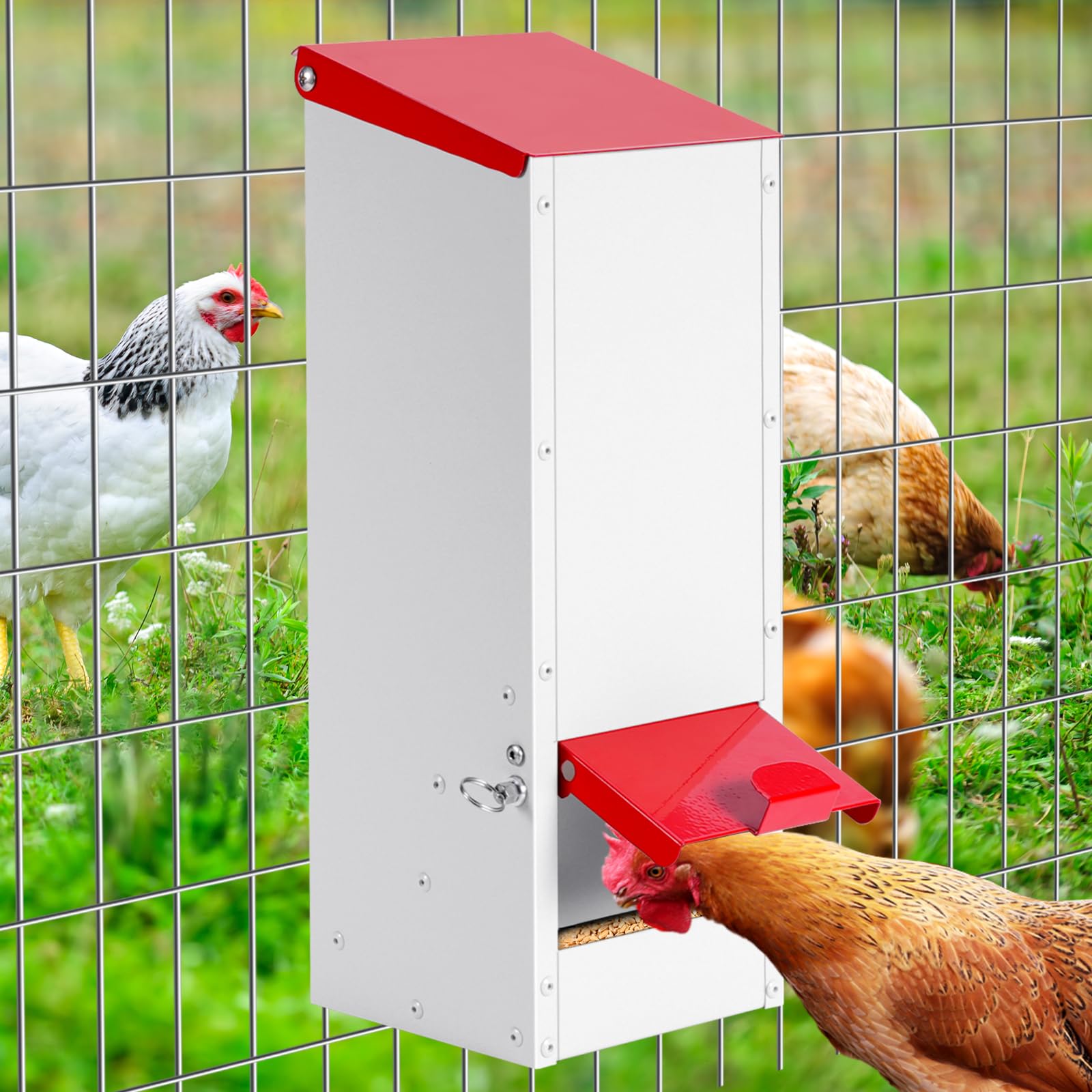Mangiatoia per Galline a Zincata 3 Kg, Alimentatore Automatico da Appendere, Tramoggia per Polli, Antipioggia Contenitore per Granaglie, Antitopo Antispreco