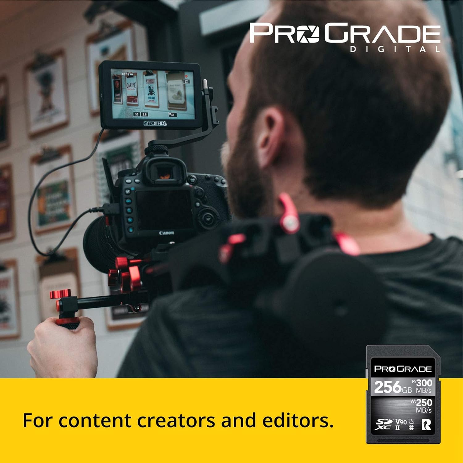 Prograde Digital SD UHSII 256GB Card V90 Up to 250MB/s Write Speed