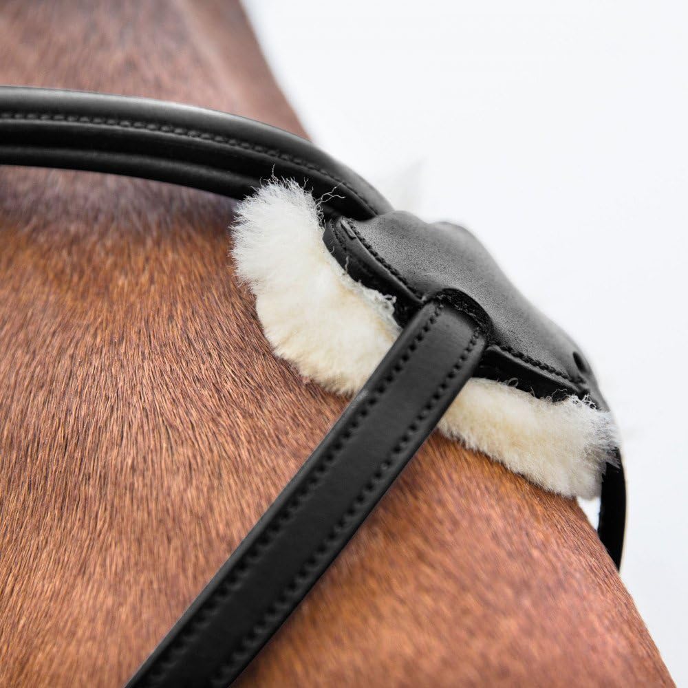 HORZE Prescott Figure 8 Bridle