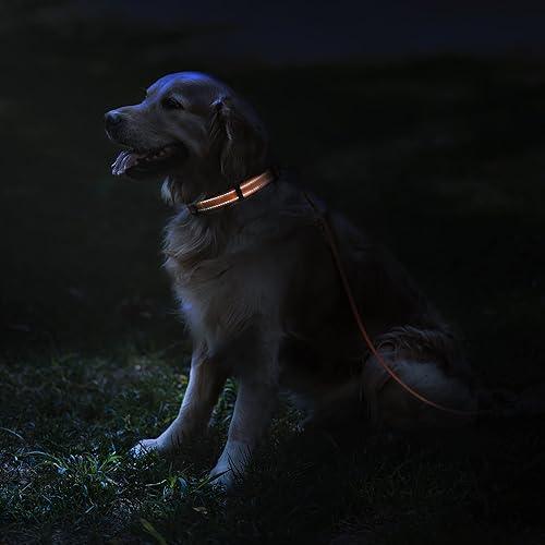 Miniatura 9 de CollarDirect - Collar de seguridad reflejante para perro, con hebilla ajustable de nailon, para perros pequeños, medianos, grandes, en color rosa,