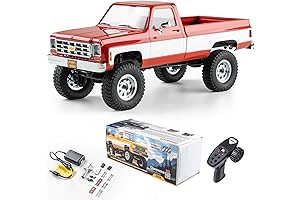 BEEZRC FMS 1/18 RC Remote Control Car Chevy Truck, Hobby RC Cars with LED Lights