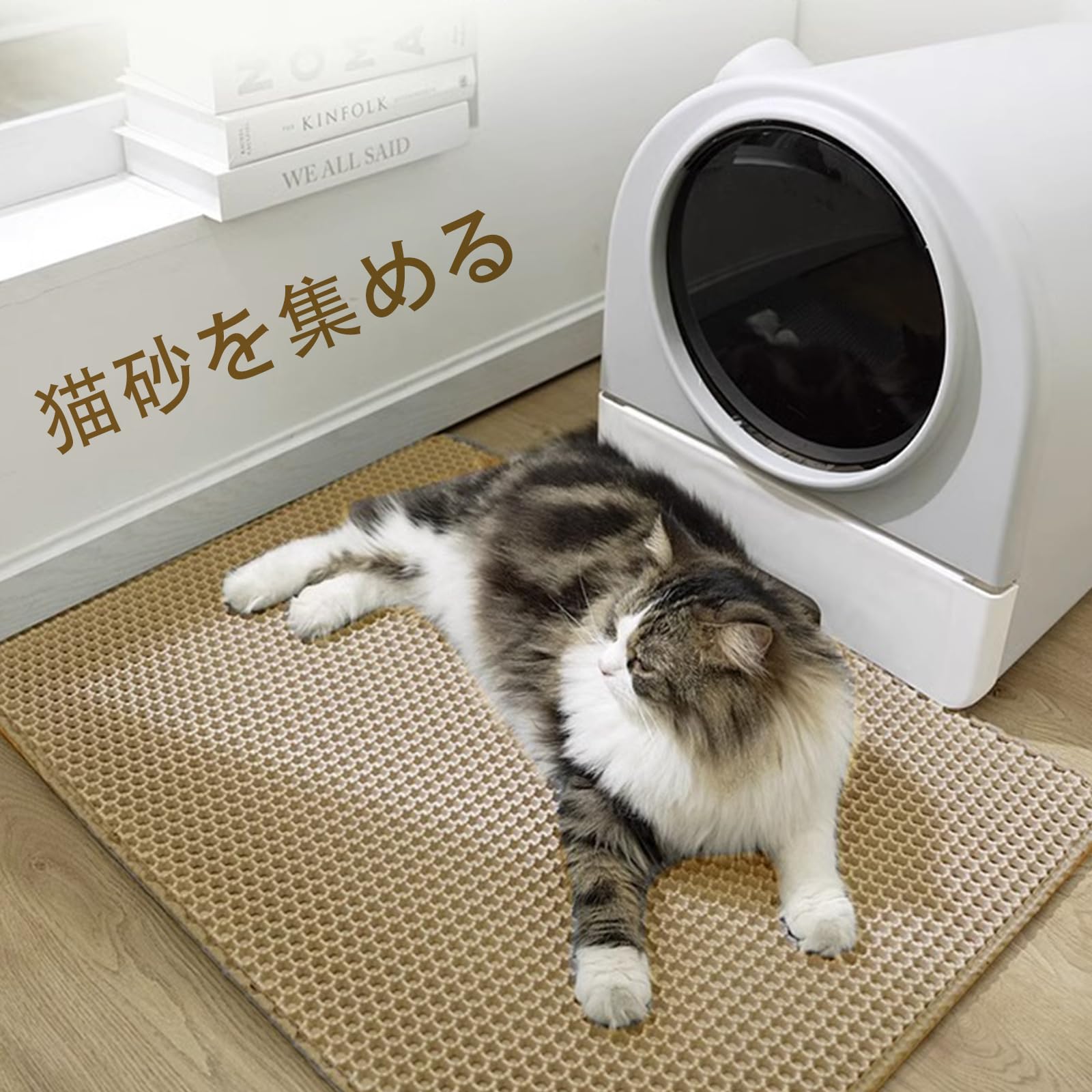 Amazon.co.jp: （在庫がありませんので購入しないでください ）Yiwu 