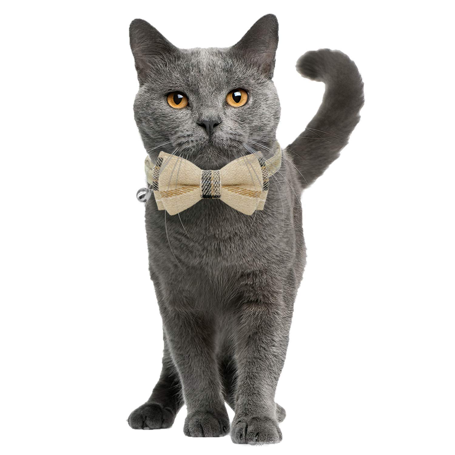 Katzenhalsband-Set, Katzenhalsband, mit niedlicher Fliege und Glöckchen, verstellbar von 19 - 27 cm, weich und bequem für Kätzchen und einige Welpen (beige + braun)