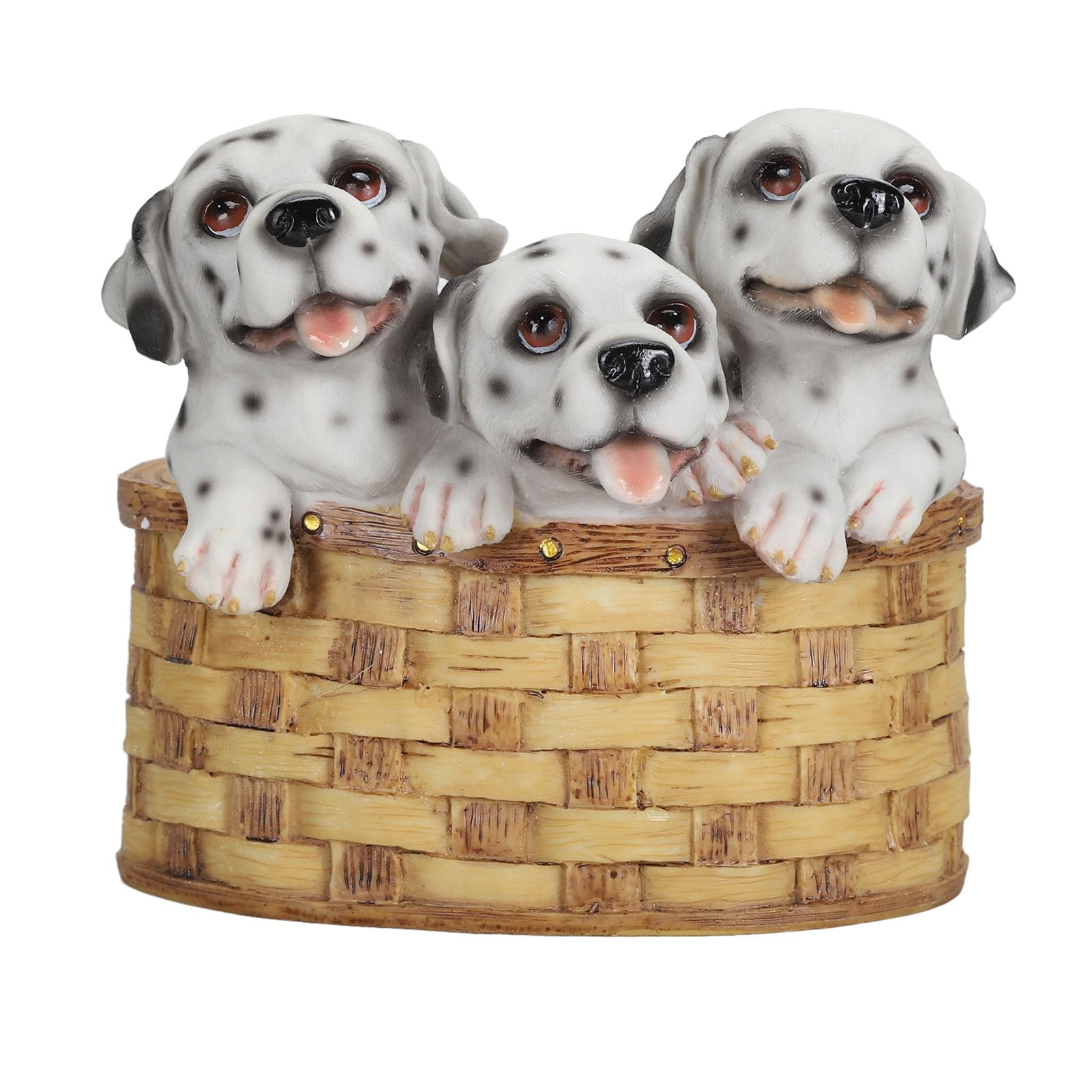 Planteur de chien avec drainage pour éviter le pourrissement des succulentes