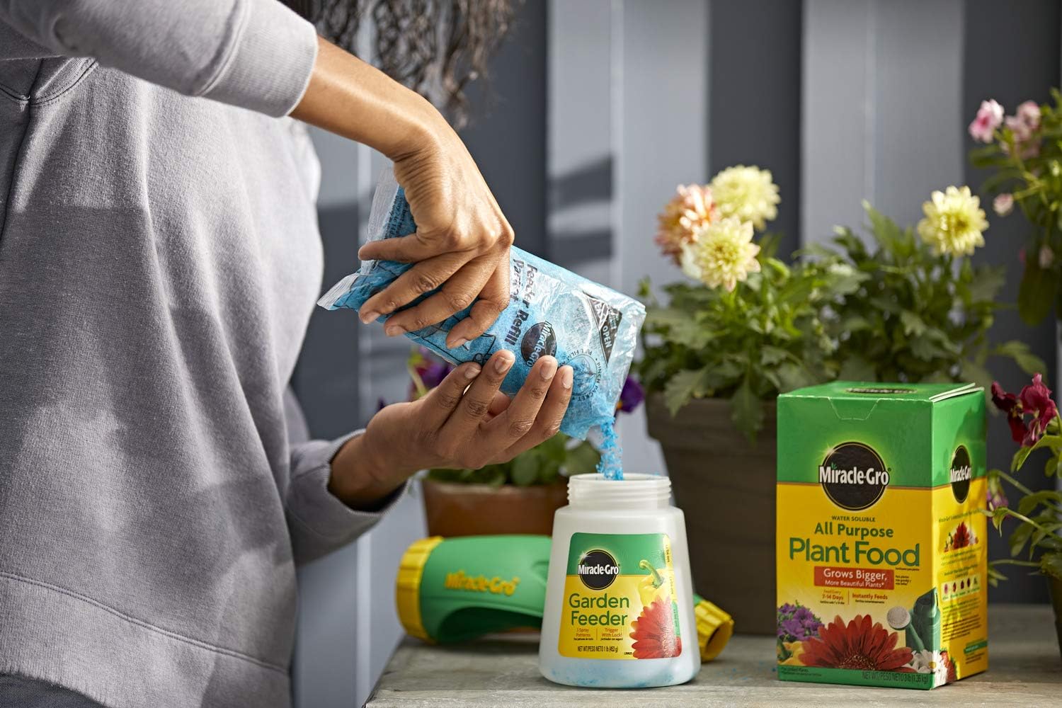 Miracle-Gro Water Soluble All Purpose Plant Food, 3 lb : Everything Else