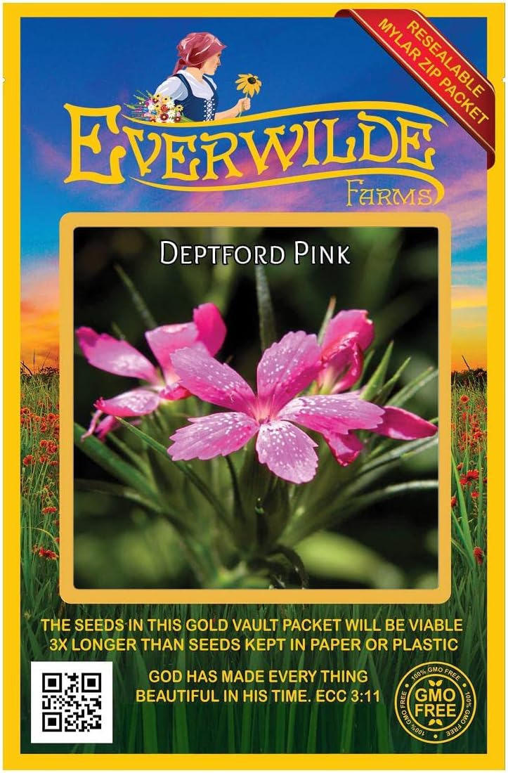 Everwilde Farms - 1 Oz Deptford Pink Wildflower Seeds - Gold Vault