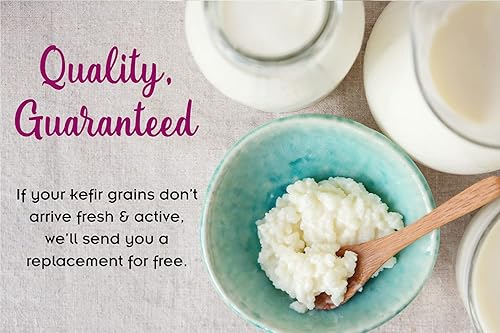Miniatura 4 de 1 cucharada de granos de kéfir de leche y libro electrónico "Milk Kefir Unleashed by Thomas Egbert" - Cultivos iniciadores probióticos vivos frescos