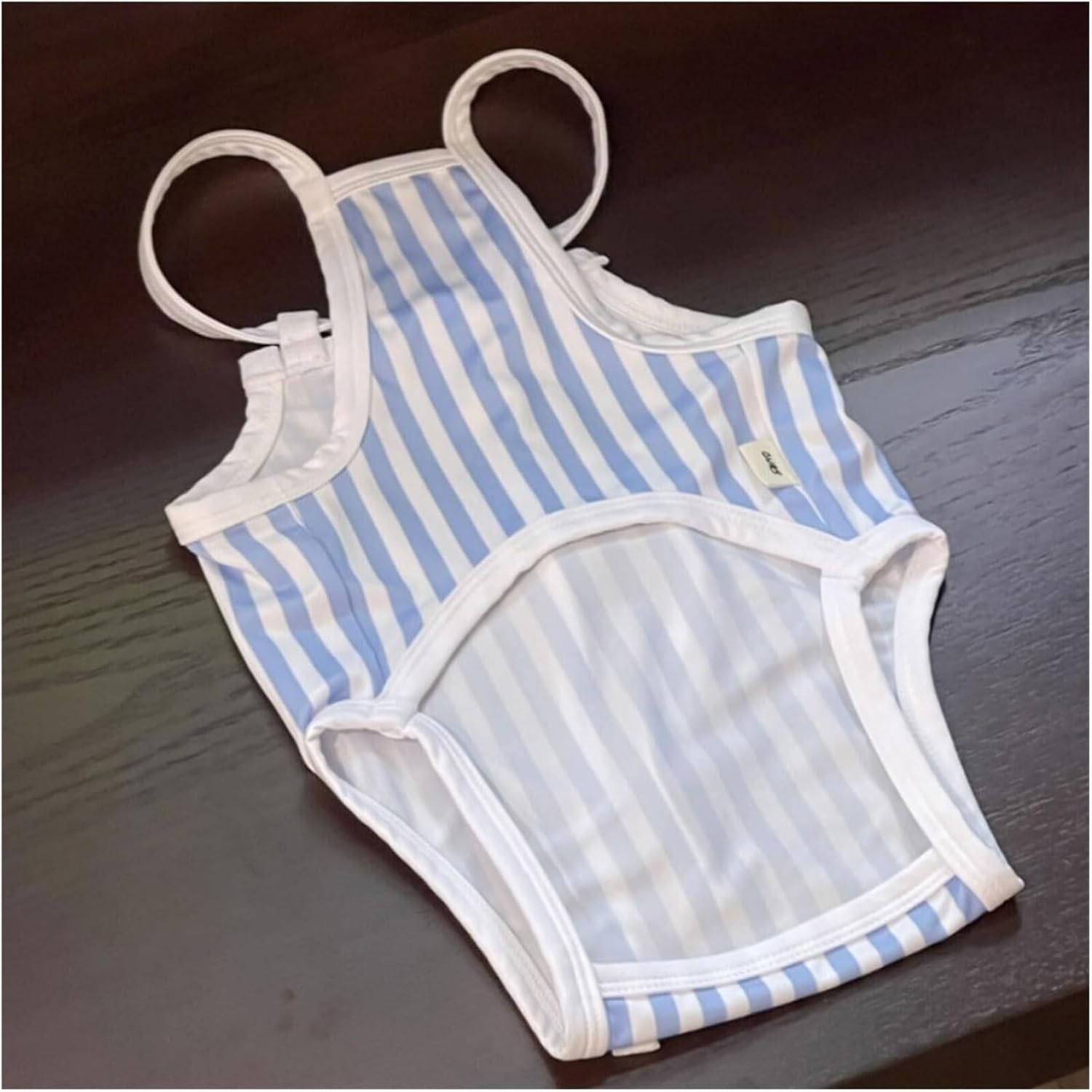 Dog Swimsuit for Small Breeds - Striped Beachwear & Pool Costume for Bichons, Poodles, and Small Dogs - Breathable Polyester Pet Swimwear(Blue,XL)
