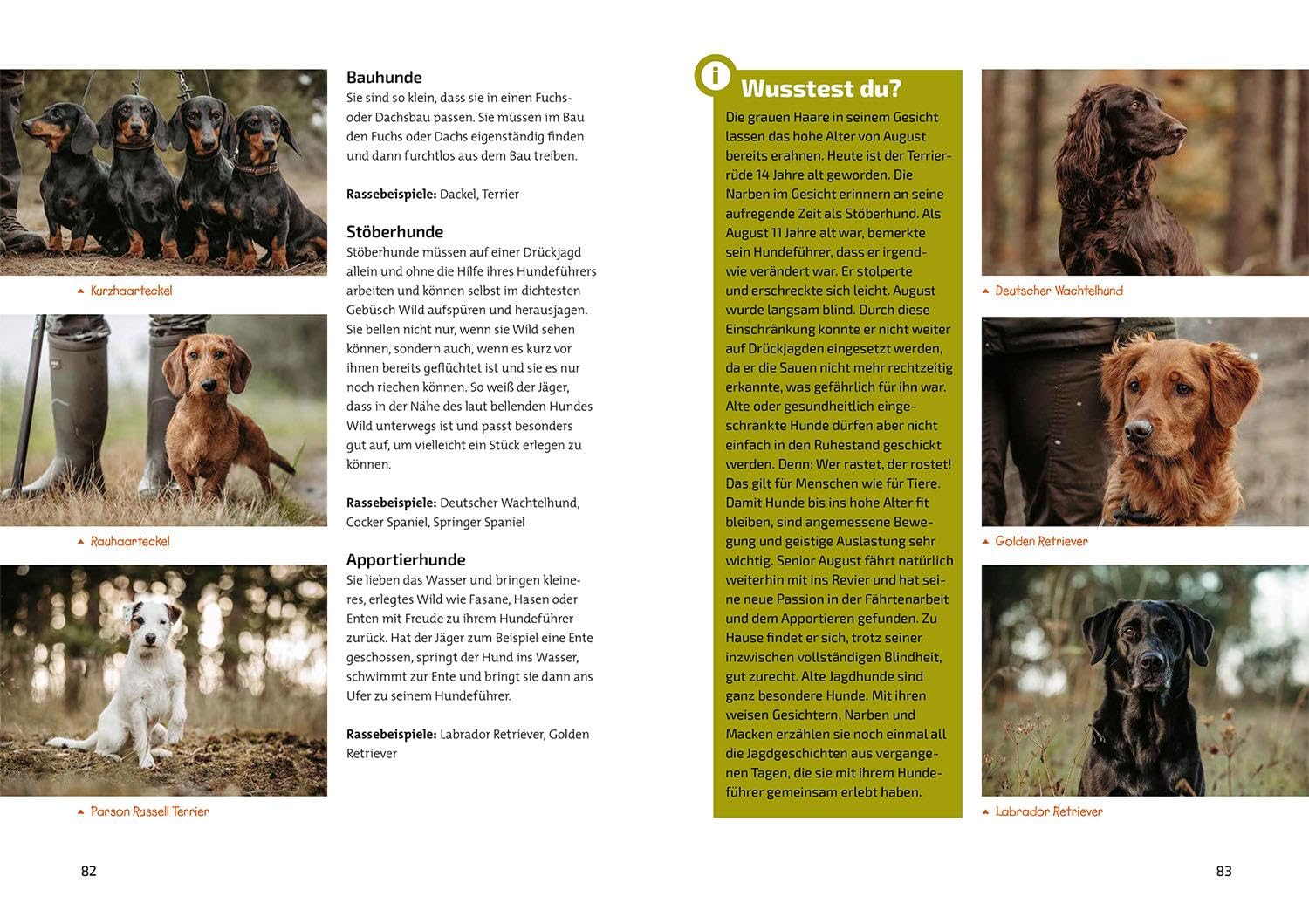 Das Jagdbuch für Kids