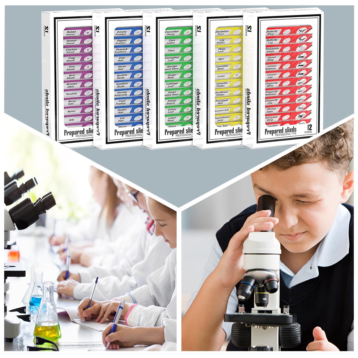 60pcs Plastic Prepared Microscope Slides | Animals, Insects, Plants, Flowers Biological Samples, Biology Science for Students Adults & Kids