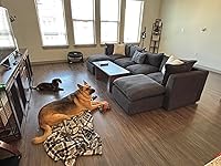 Review Image by Eryn Wilson Eryn Wilson