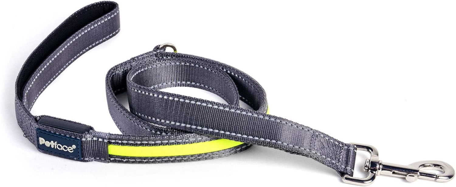 Petface (Outdoor Paws by Petface) Flashing Yellow Reflective Dog Lead, Medium
