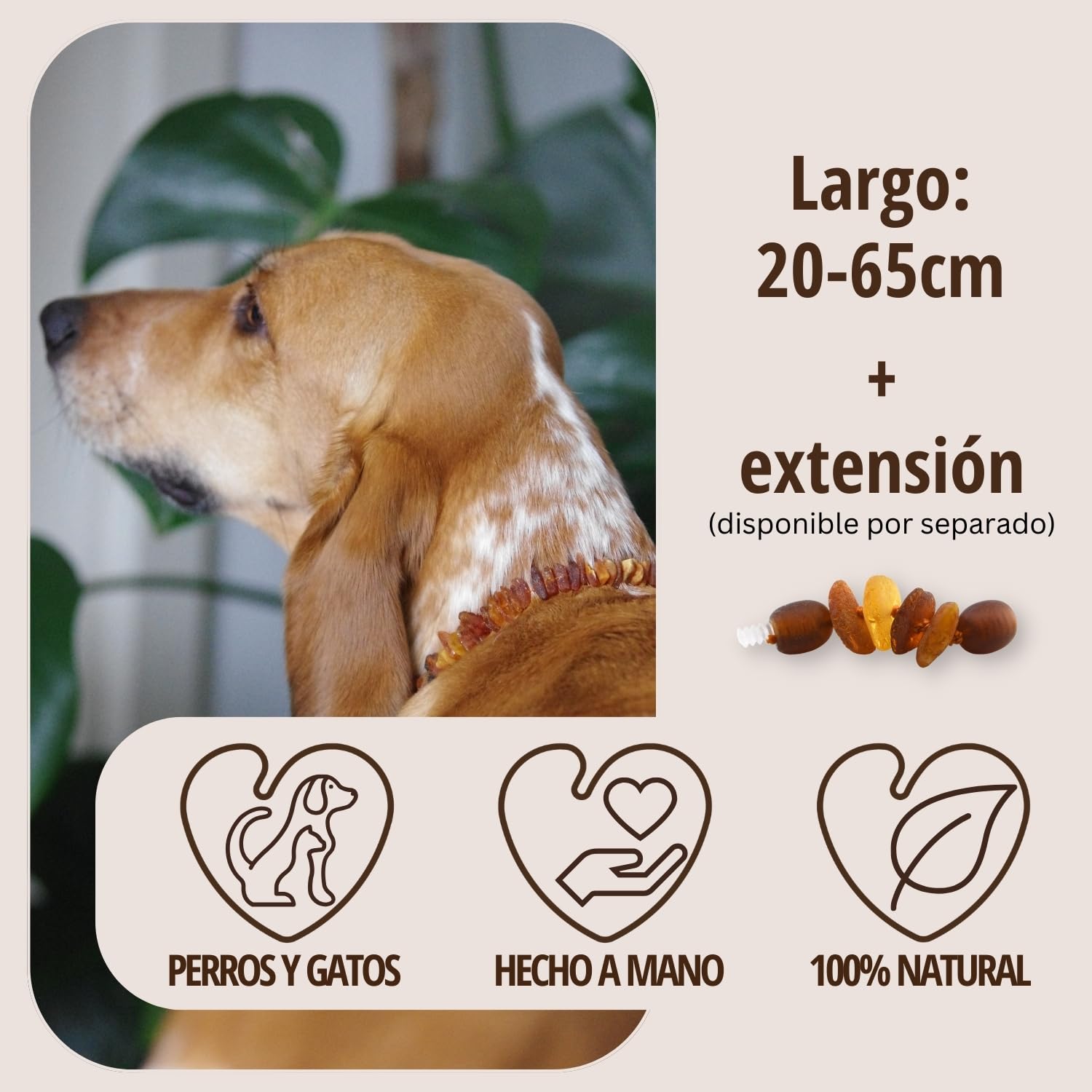 Collar antipulgas PetLove para Perros y Gatos • 100% ámbar báltico • Collar antipulgas para Perros • Collar antipulgas para Gatos • Longitud: 50 cm