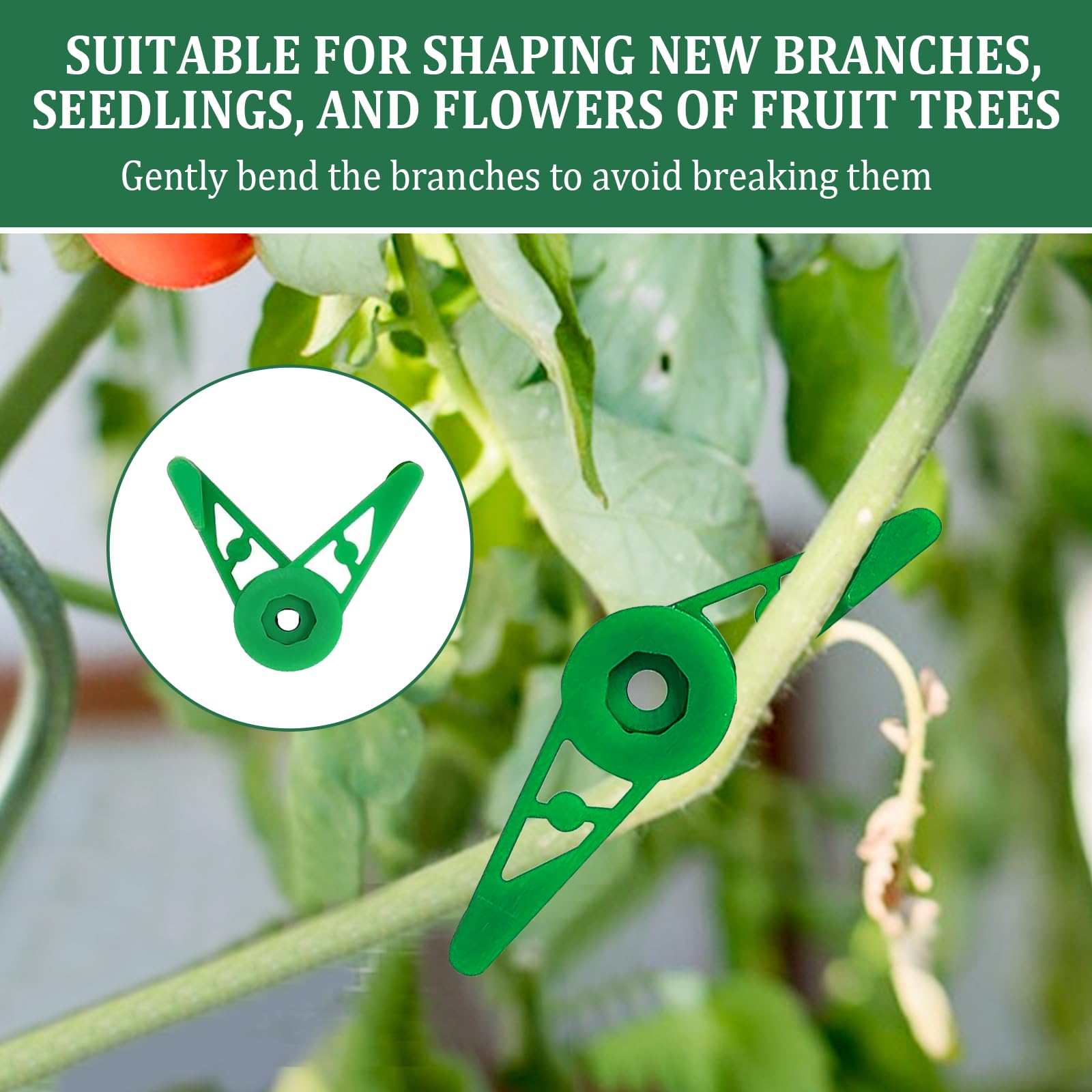 50 articoli Clip Piegatrici per Piante 360 Gradi Regolabili Plant Branch Bender Plastique de haute qualité Di lunga duratapiegatrici per piante Piegatori per Piante Adatto a una varietà di piante