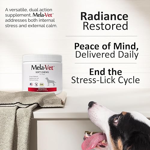Vista 6 de Melatonina Calmante Masticables suaves para perros, formulados por veterinarios para proporcionar relajación y alivio de la ansiedad, ayuda a