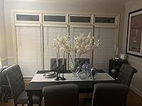 Review Image by Rachael S Rachael S