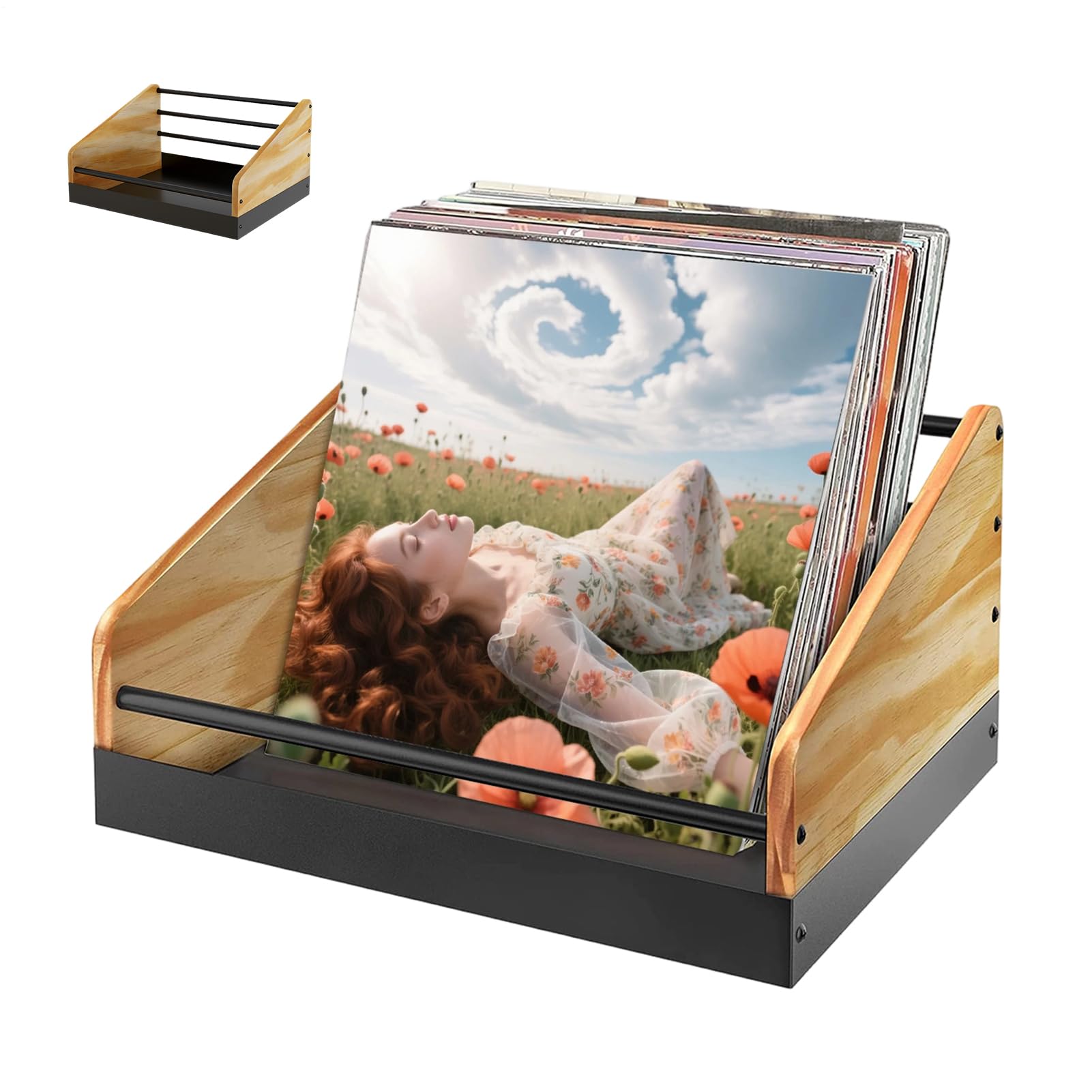 Supporto per Album Portadischi da Tavolo in Metallo e Legno | Espositore e Organizzatore per Vinili per File Snack Giocattoli Casa Camera Soggiorno Appartamento Ufficio Negozio Scrivania